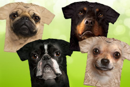 Big Face - le magliette canine