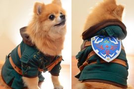 Costume per cani di Zelda